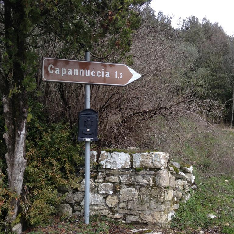 Villa Capannuccia 卡斯特利纳－因基安蒂 外观 照片